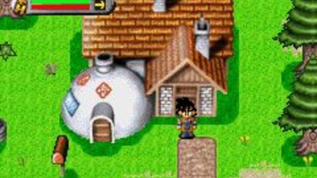 Dragon Ball Z: The Legacy of Goku 1