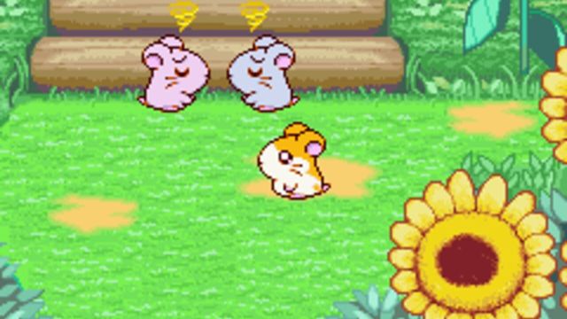 Hamtaro: Ham-Ham Heartbreak 6
