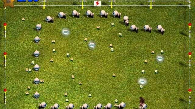 Sheep 3