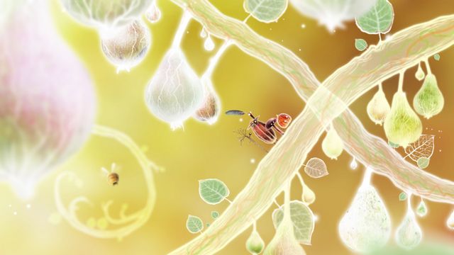 Botanicula 5