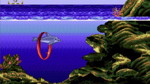 Ecco Jr. 2