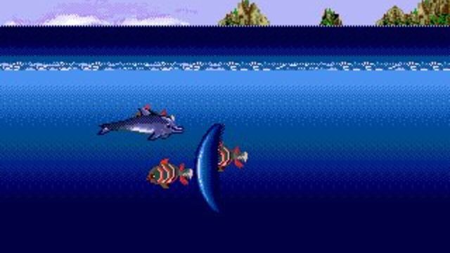 Ecco Jr. 6
