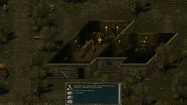 Divine Divinity 4