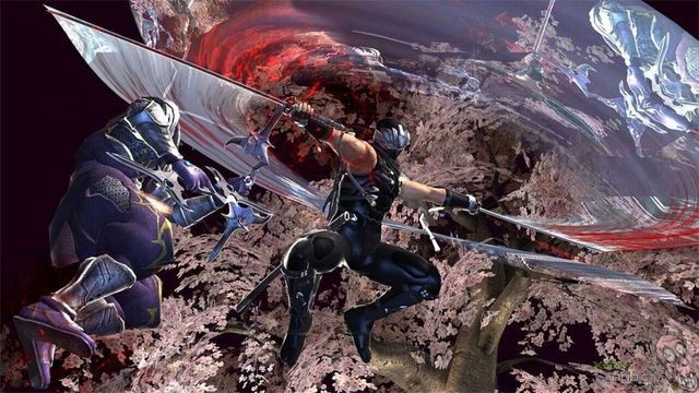 Ninja Gaiden II 2