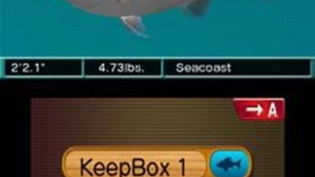 Reel Fishing Paradise 3D 4
