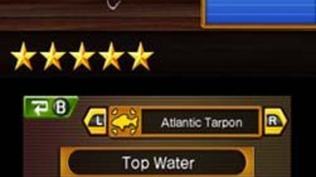 Reel Fishing Paradise 3D 6