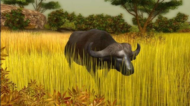 Cabela's African Safari 1