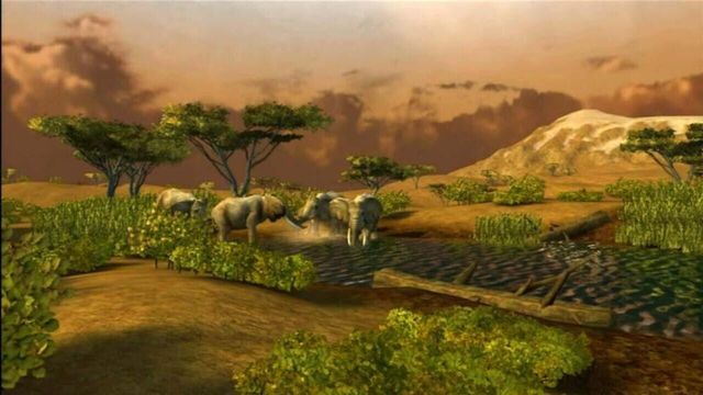 Cabela's African Safari 4