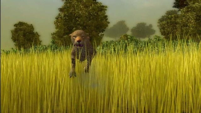 Cabela's African Safari 5