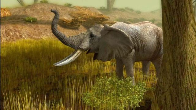 Cabela's African Safari 6