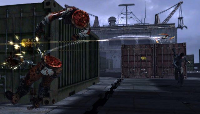 Dark Sector 4