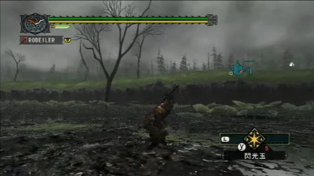 Monster Hunter G 2