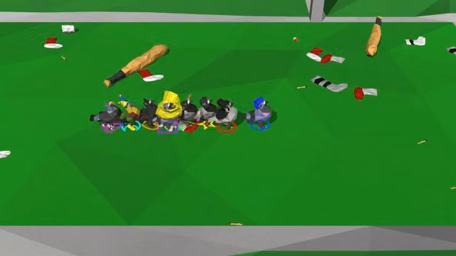 Pigeon Fight 2