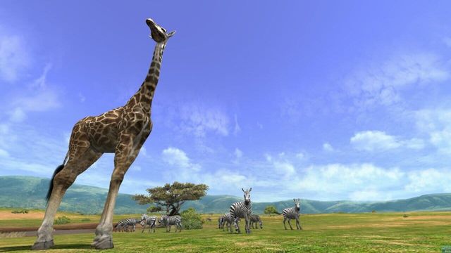 Afrika 2
