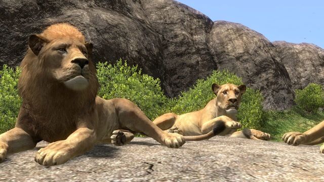 Afrika 3