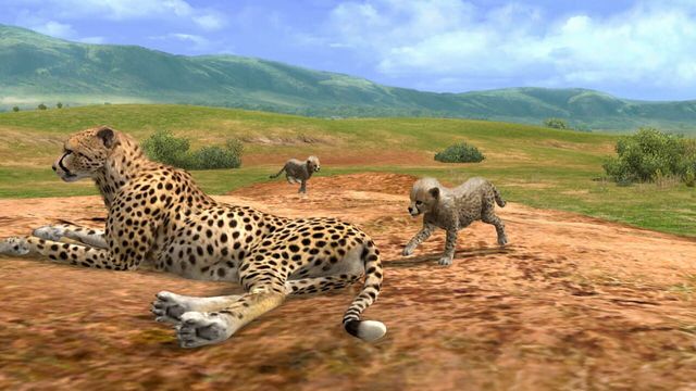 Afrika 4