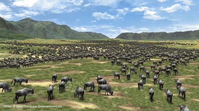 Afrika 5