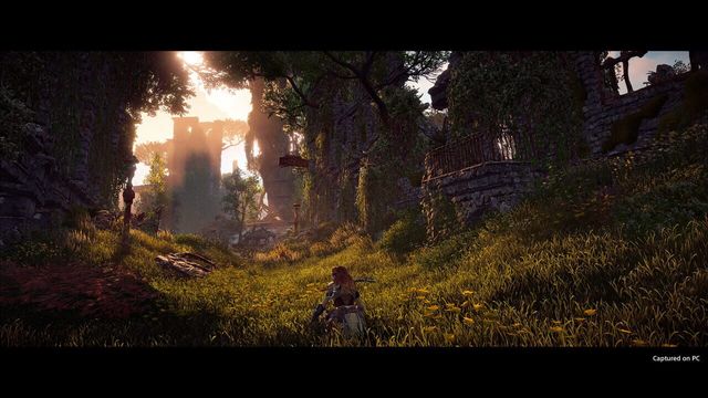 Horizon Zero Dawn: Complete Edition 2