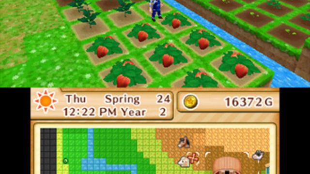 Harvest Moon: The Lost Valley 6