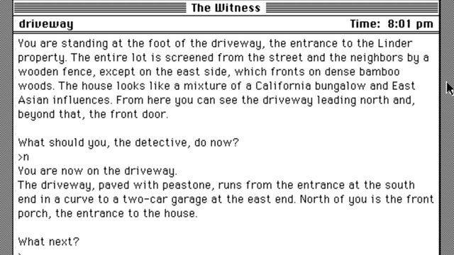 The Witness 2