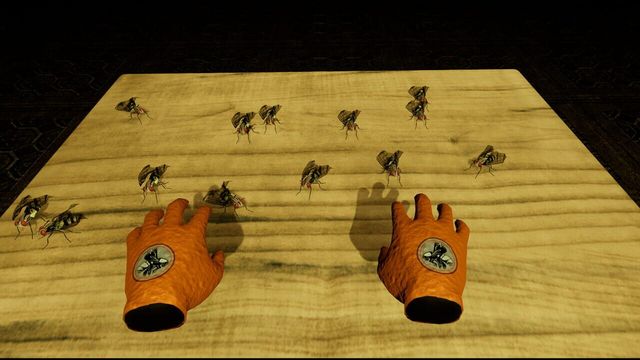 Fly Destroyer 5