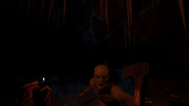 The Forest 3