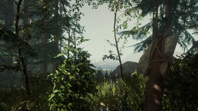 The Forest 4