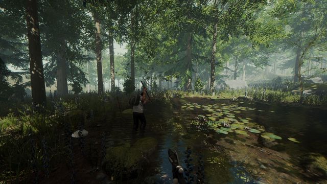 The Forest 6