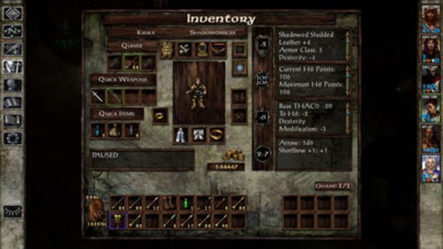 Icewind Dale 5