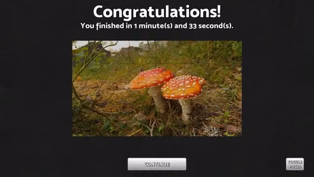 Puzzle Mania 5