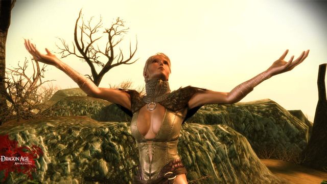 Dragon Age: Origins - Awakening 5