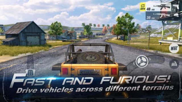 Rules of Survival 5