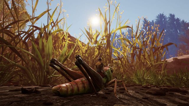 Smalland: Survive the Wilds 4