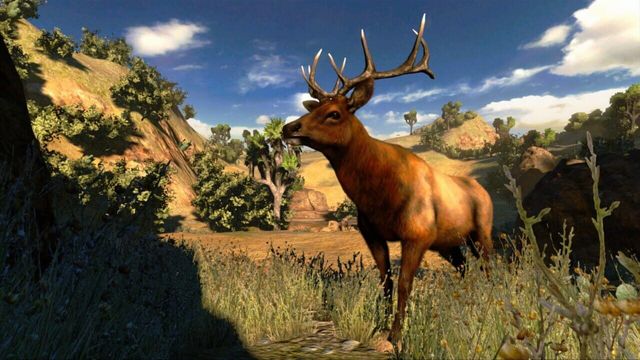 Cabela's Hunting Expeditions 1