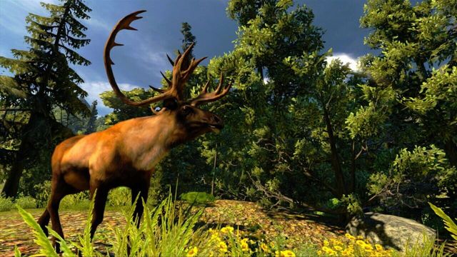 Cabela's Hunting Expeditions 4