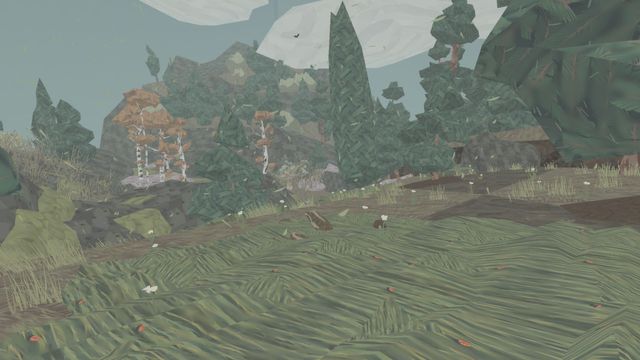 Shelter 2