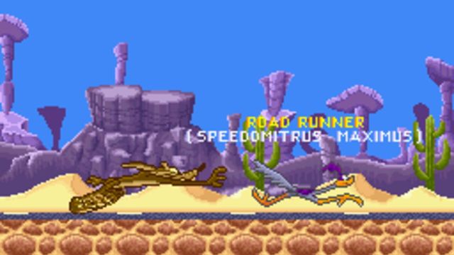 Road Runner's Death Valley Rally 3