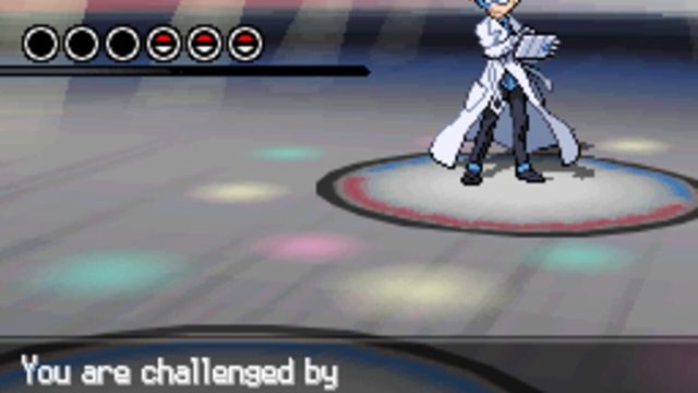 Pokémon Black Version 2 5