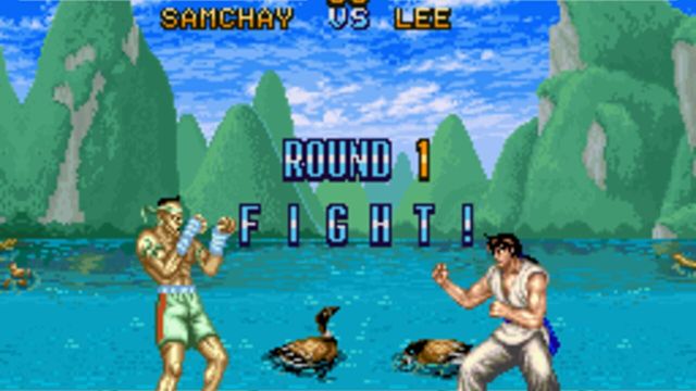 Fighter's History 3