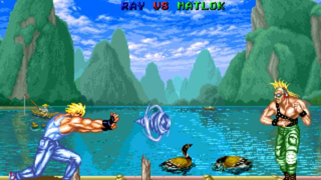 Fighter's History 5