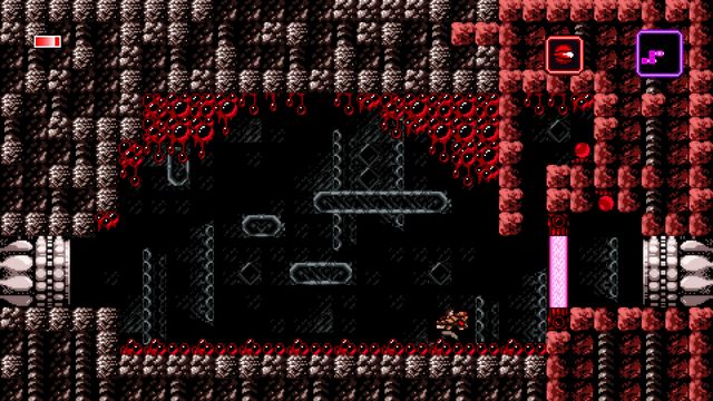 Axiom Verge 6