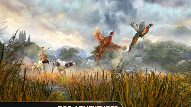 Deer Hunter Classic 2