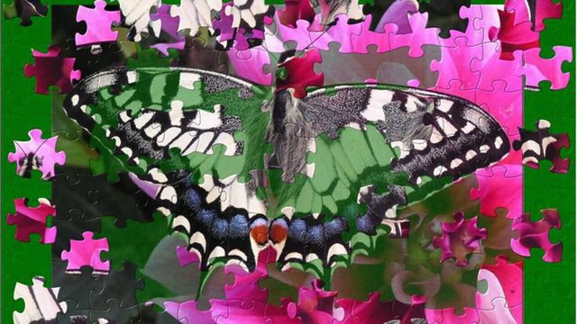 Everyday Jigsaw 2