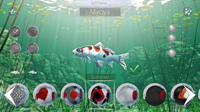 My Koi 2