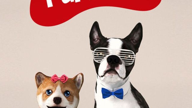 Dog Simulator 2015 3
