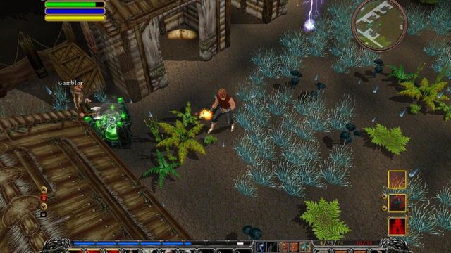 Din's Curse 5
