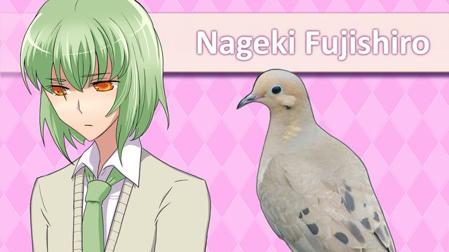 Hatoful Boyfriend 5