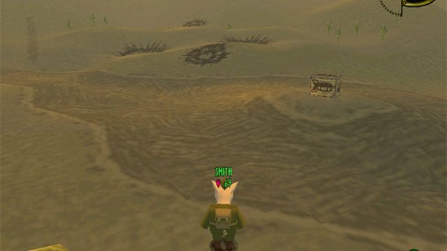 Hogs of War 5