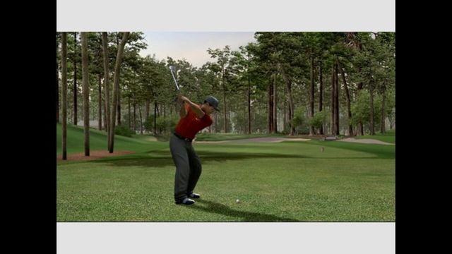 Tiger Woods PGA Tour 06 1