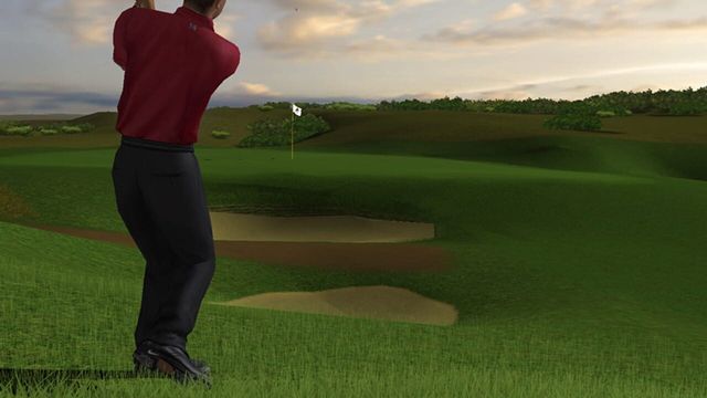 Tiger Woods PGA Tour 2004 3